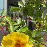 A Casa Di Silvia 아파트