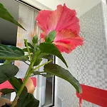A Casa Di Silvia *