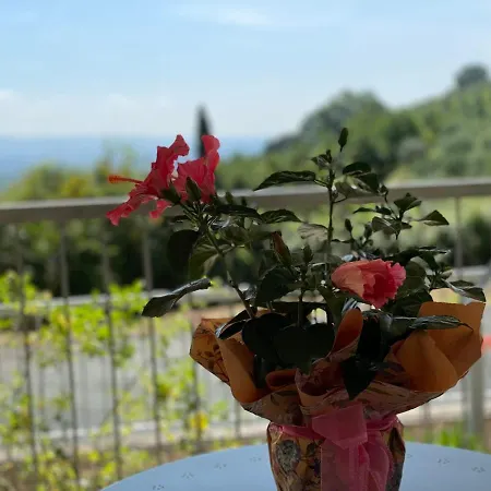 Apartamento A Casa Di Silvia *