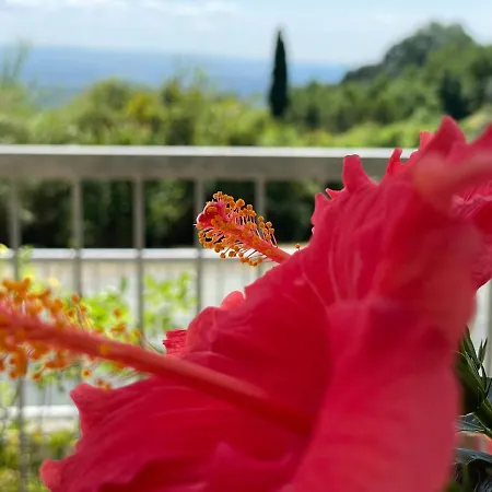A Casa Di Silvia * Gambassi Terme