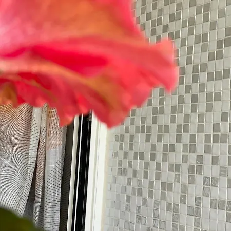 A Casa Di Silvia *